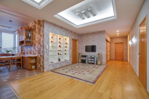 Royal Sauna & Jacuzzi Apartment Moscow, Moscow
